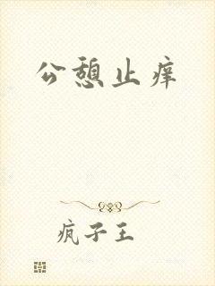 公憩止痒封面