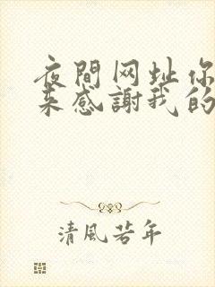 夜间网址你会回来感谢我的