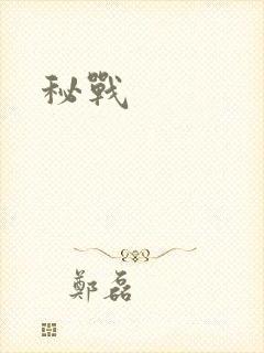 秘战封面