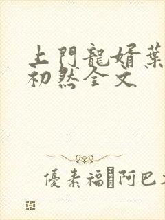 上门龙婿叶辰萧初然全文