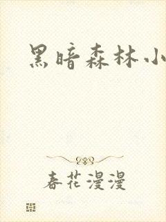 黑暗森林小说封面