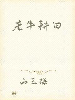 老牛耕田