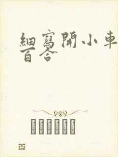 细写开小车车的百合