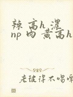辣 高h 浓 np 肉 黄高h