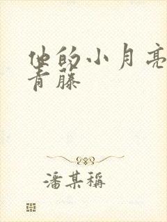 他的小月亮by青藤