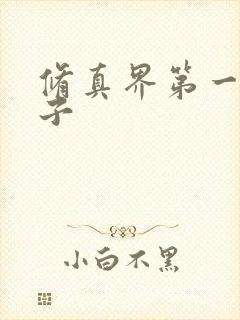 修真界第一病秧子封面
