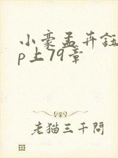 小豪孟卉钰慧三p上79章