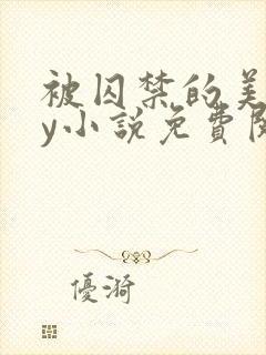 被囚禁的美人by小说免费阅读