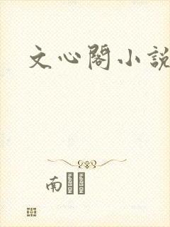 文心阁小说