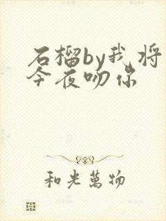 石榴by我将在今夜吻你