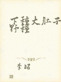 下种大肚子怀孕野种