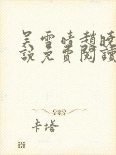 吴雪晴赵晓东小说免费阅读封面