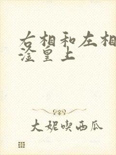 右相和左相一起淦皇上