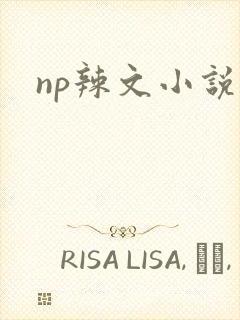 np辣文小说