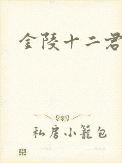 金陵十二君