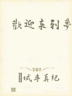 欢迎来到梦乐园封面