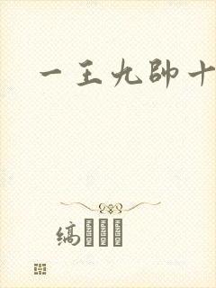 一王九帅十二宫封面