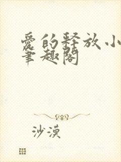 爱的释放小说 笔趣阁