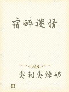 宿醉迷情封面