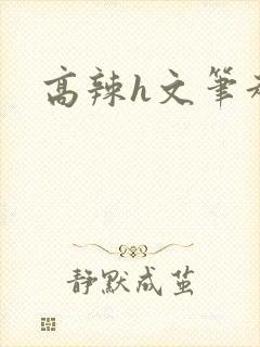 高辣h文笔趣阁
