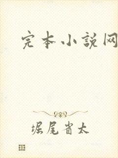 完本小说网封面