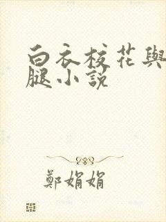 白衣校花与大长腿小说