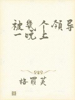 被几个领导玩弄一晚上