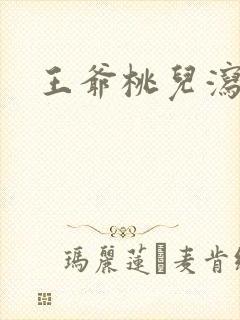 王爷桃儿泻了封面