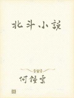 北斗小说