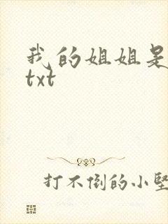 我的姐姐是美女txt