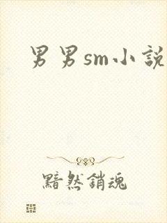 男男sm小说封面