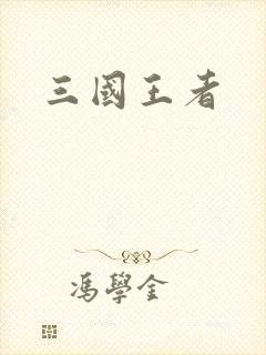 三国王者封面