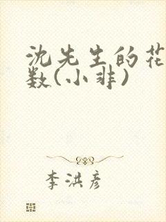 沈先生的花式调数(小非)