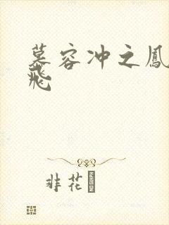 慕容冲之凤凰于飞