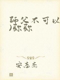 师父不可以(限)弥弥封面