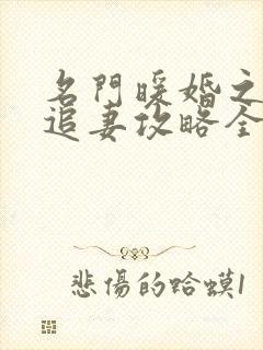 名门暖婚之权爷追妻攻略全文免费阅读