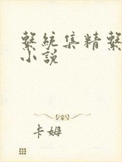 系统集精系统 小说