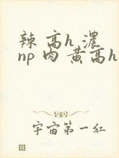 辣 高h 浓 np 肉 黄高h