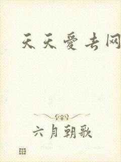 天天爱去网