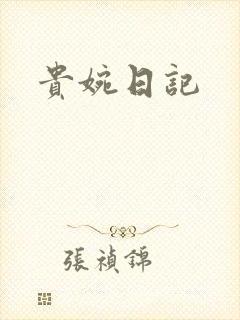 贵婉日记封面