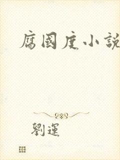 腐国度小说