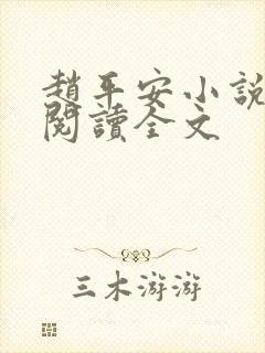 赵平安小说免费阅读全文封面