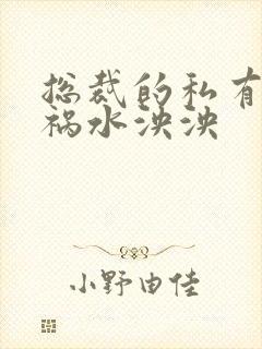 总裁的私有宝贝祸水泱泱封面