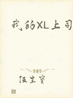 我的XL上司封面