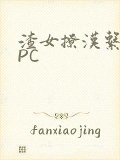 渣女撩汉系统NPC