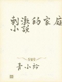 刺激的家庭乱仑小说