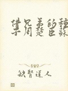 借兄弟的种生孩子周楚臣苏糖封面