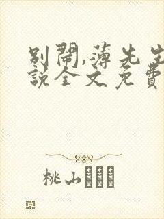 别闹,薄先生小说全文免费阅读