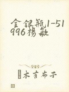 金银瓶1-51996杨敏封面