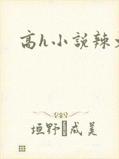 高h小说辣文封面